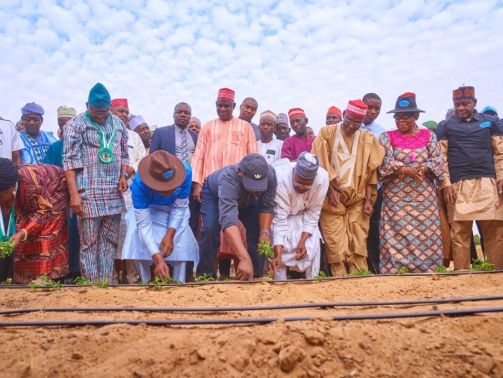 WhatsApp Image 2026-02-04 at 10.48.17 AM